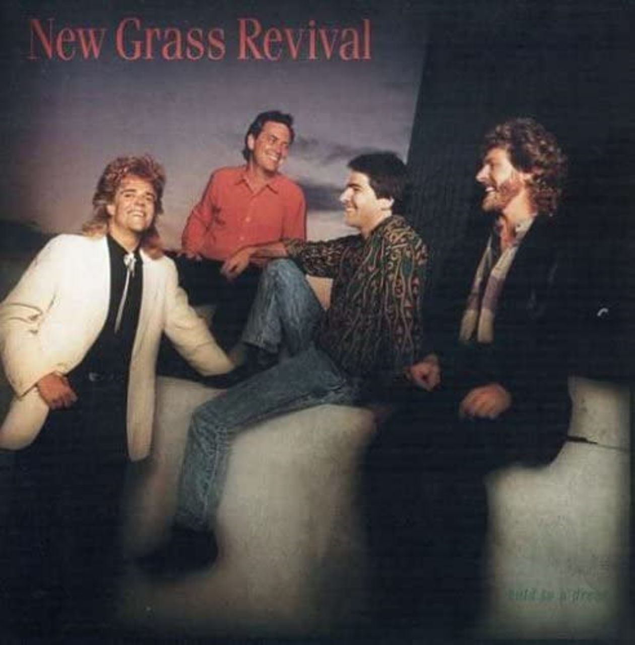 New Grass Revival – Hold To A Dream cover album