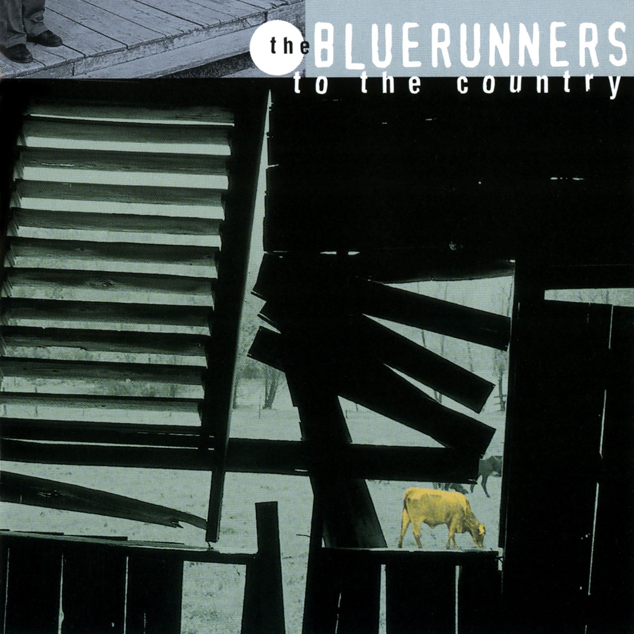 Bluerunners - To The Country cover album