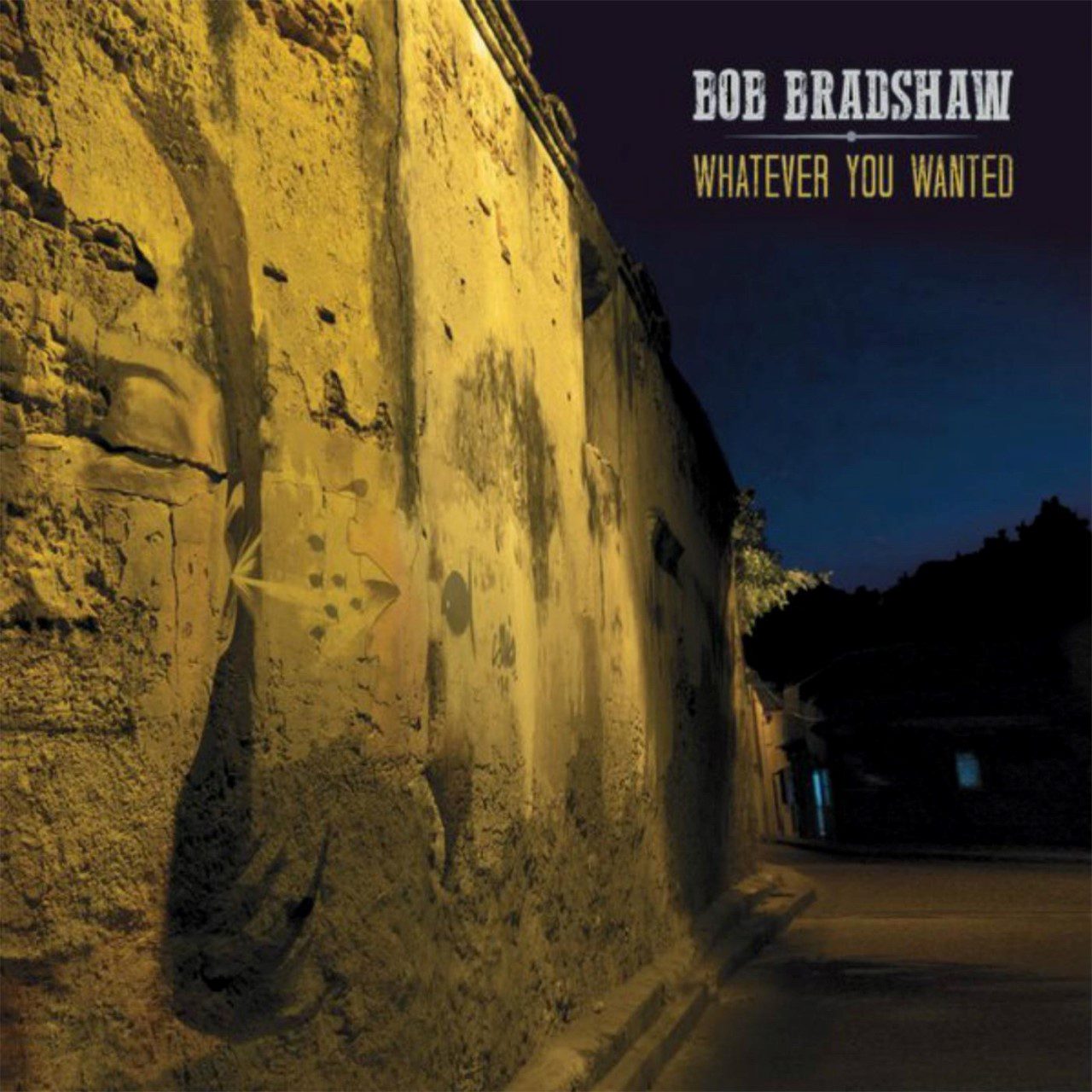 Bob Bradshaw - Whatever You Wanted cover album