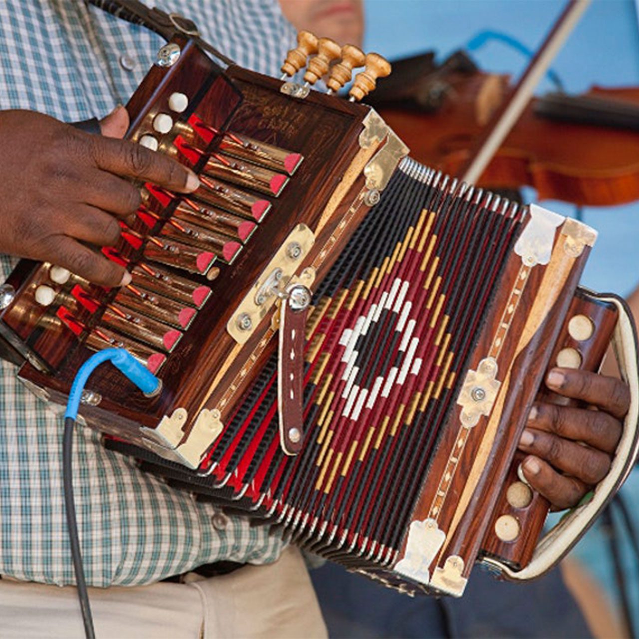 Cajun Zydeco articolo