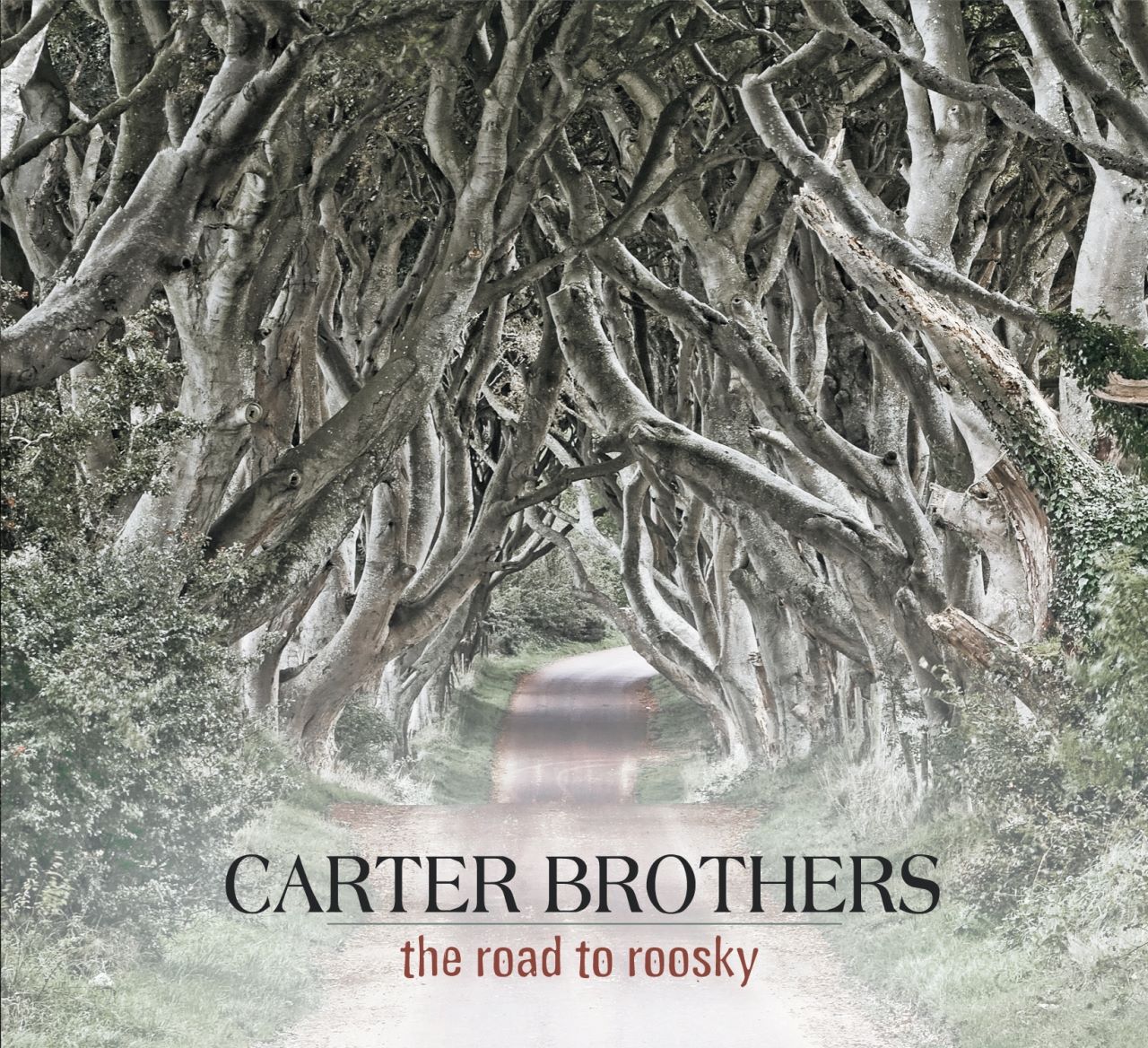 Carter Brothers - The Road To Roosky cover album