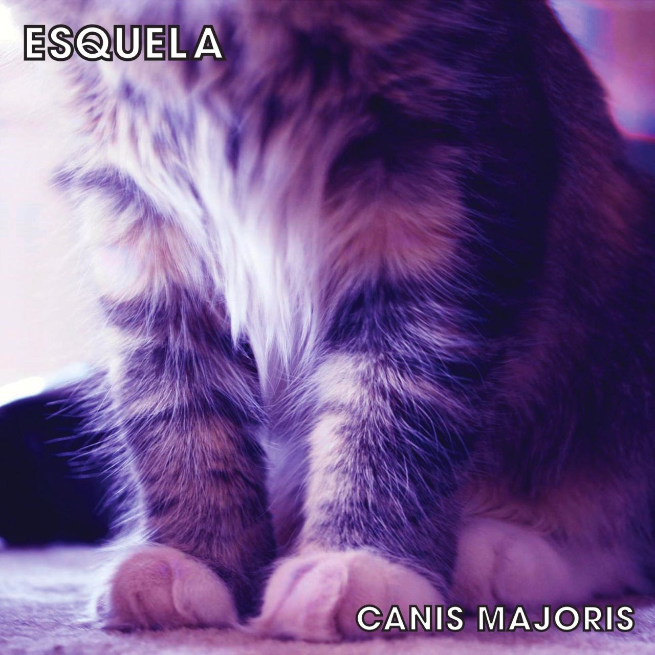 Esquela - Canis Majoris cover album