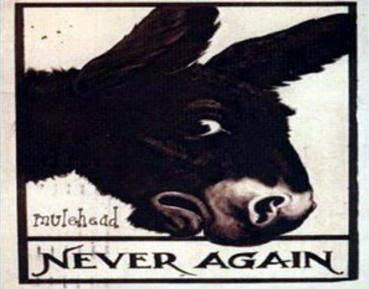 Mulehead – Never Again cover album