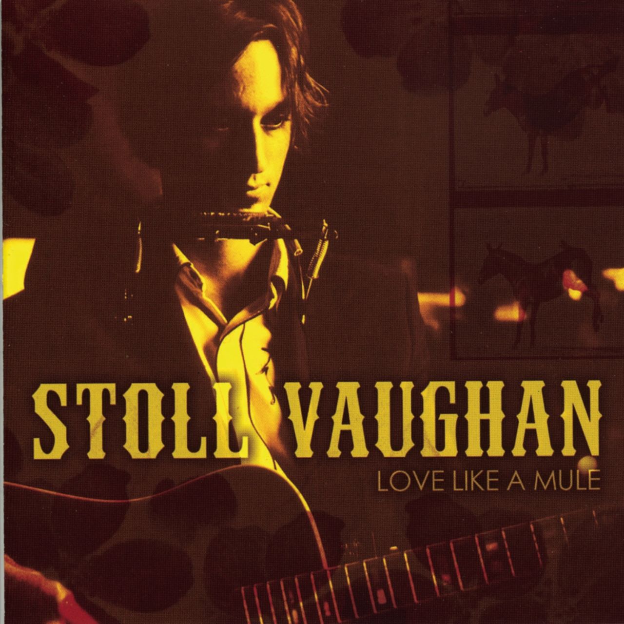Stoll Vaughan - Love Like A Mule cover album