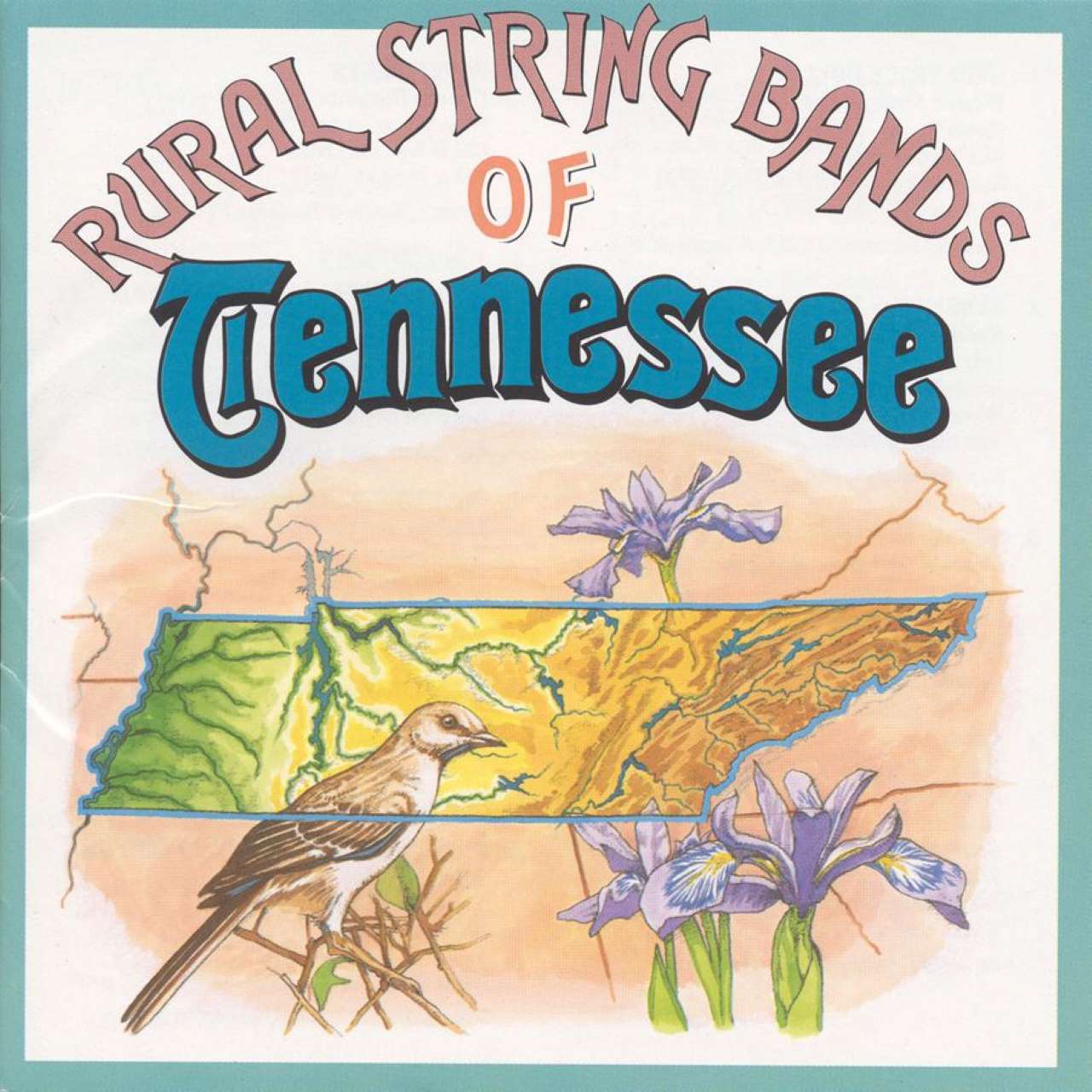 A.A.V.V. - Rural String Bands Of Tennessee cover album