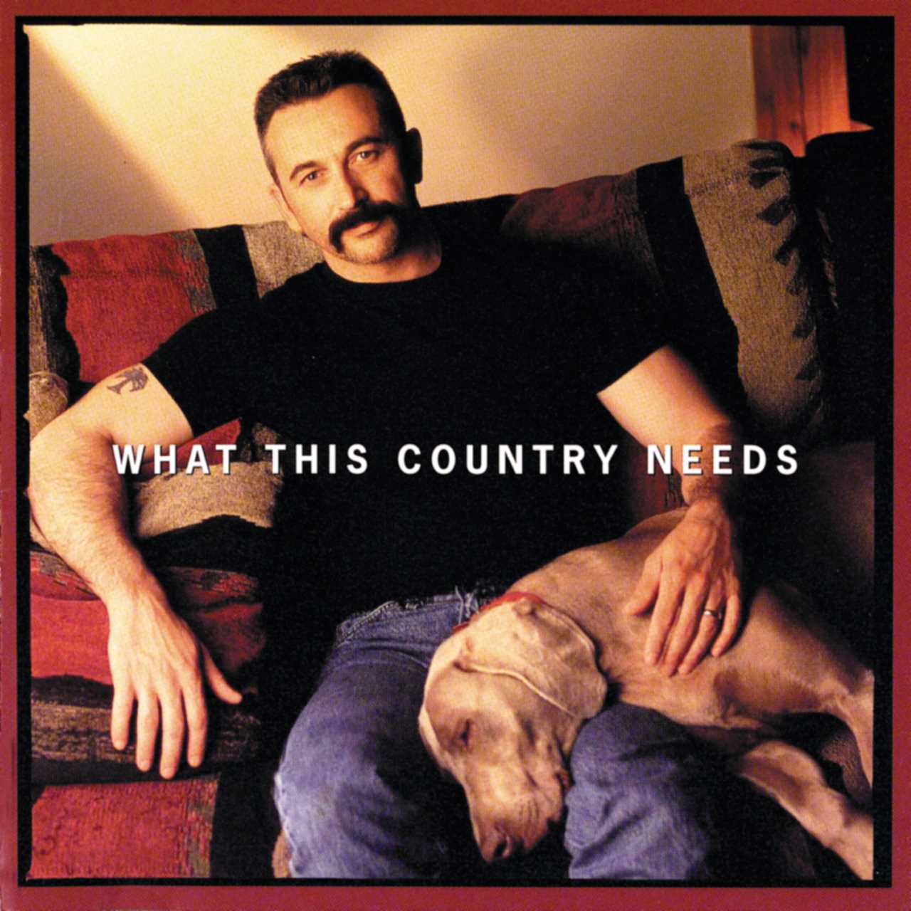 Aaron Tippin - What This Country Needs cover album