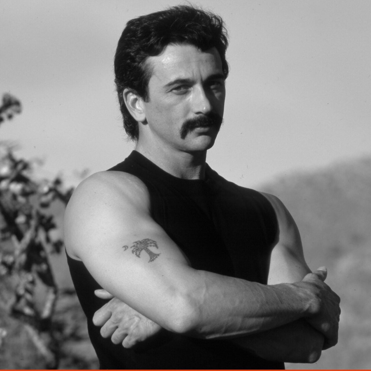 Aaron Tippin picture