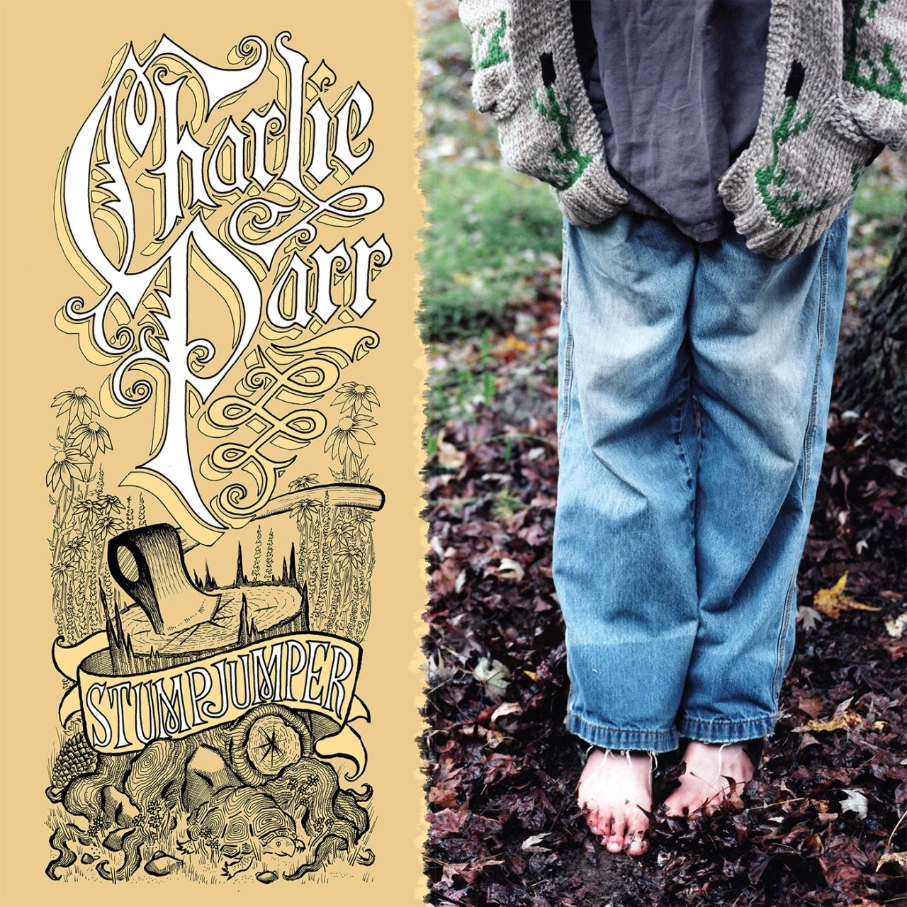 Charlie Parr - Stumpjumper cover album
