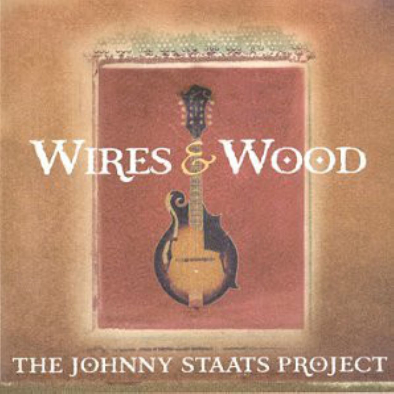 Johnny Staats - The Johnny Staats Project - Wires And Wood cover album