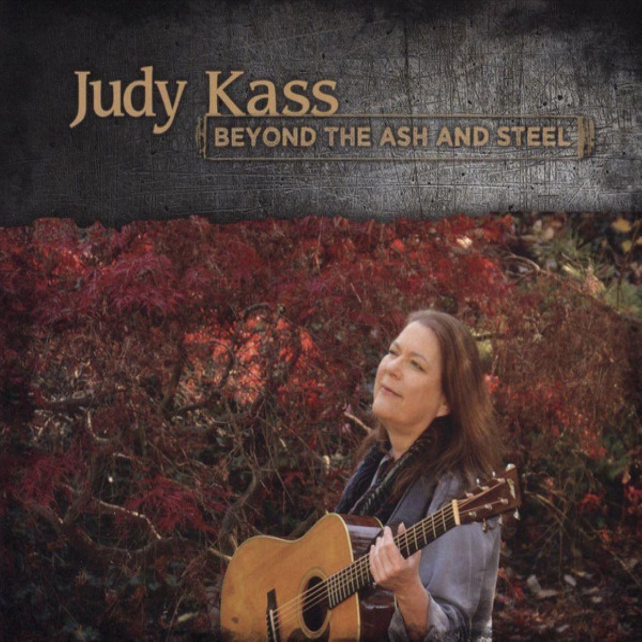 Judy Kass - Beyond The Ash And Steel cover album