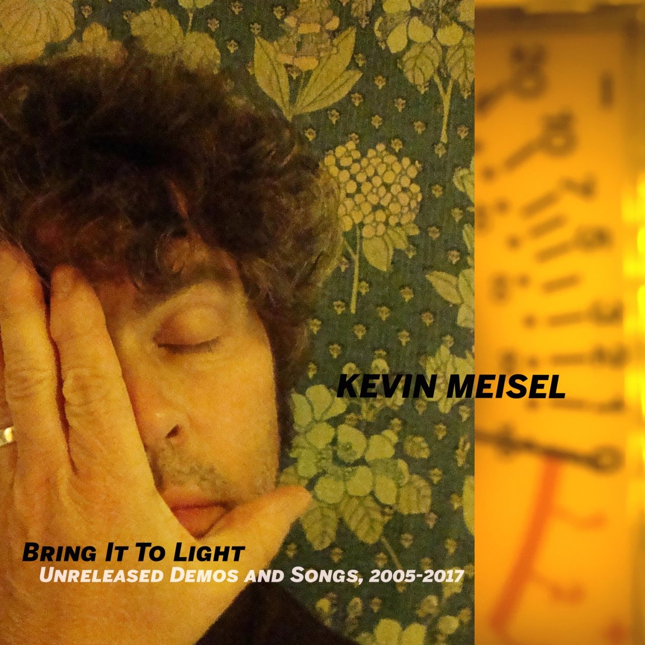 Kevin Meisel - Bring It To Light cover album