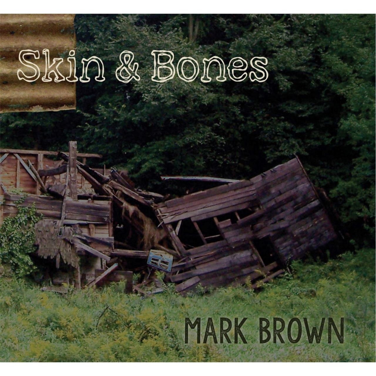 Mark Brown - Skin & Bone cover album