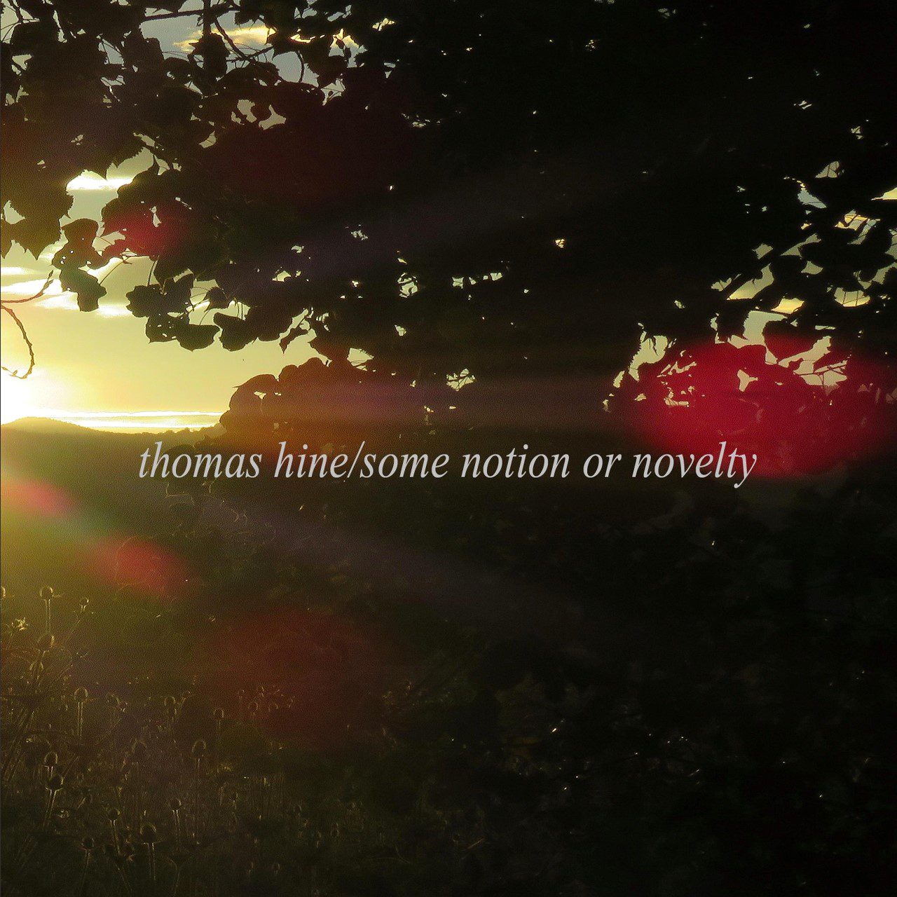 Thomas Hine - Some Notion Or Novelty cover album