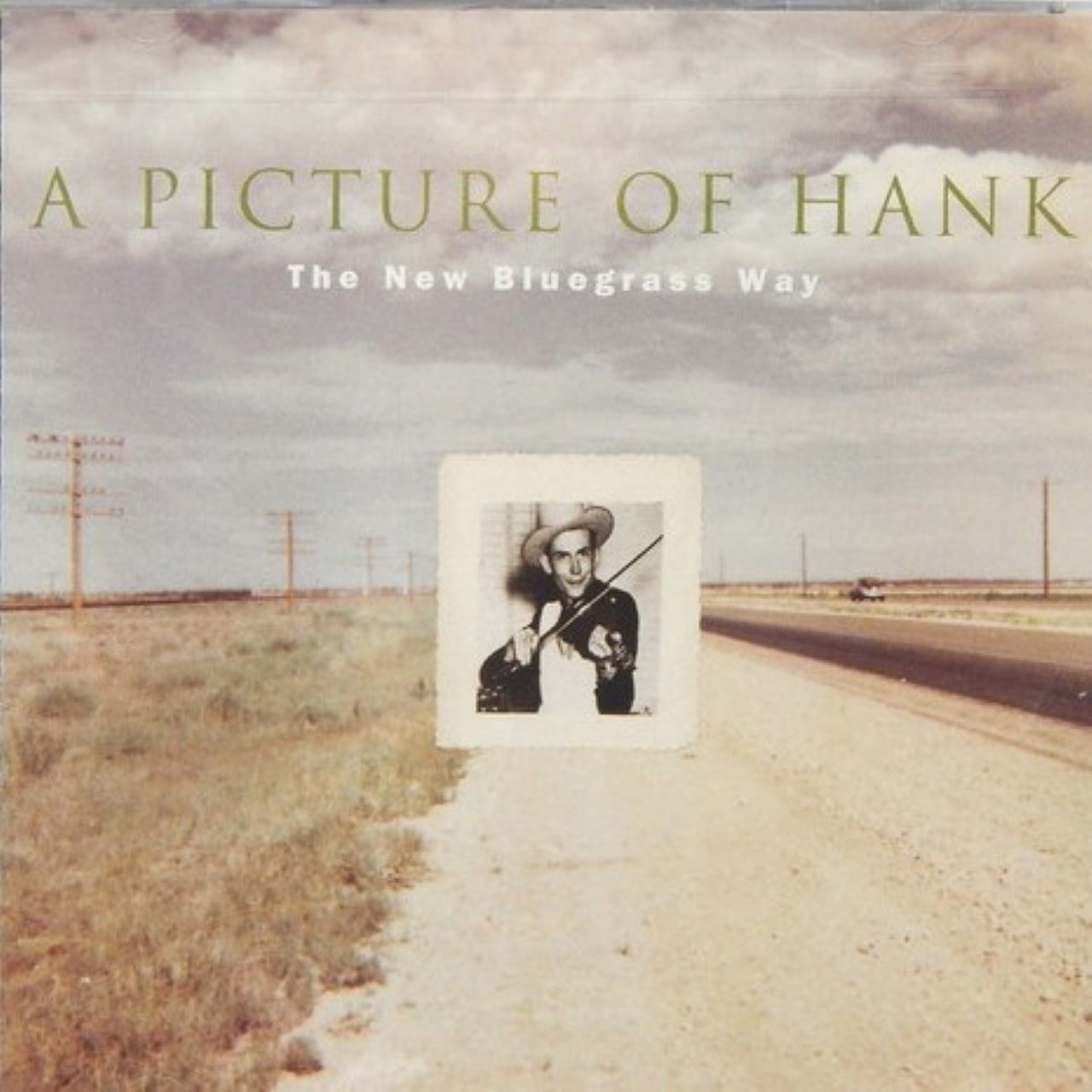 A.A.V.V. - A Picture Of Hank. The New Bluegrass Way cover album