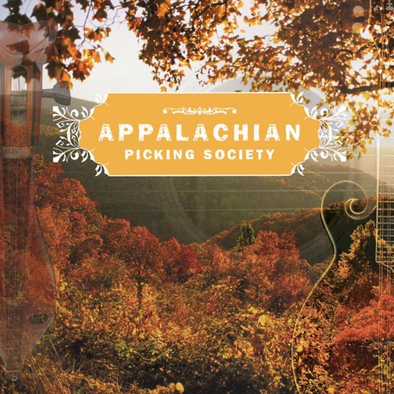 A.A.V.V. - Appalachian Picking Society cover album