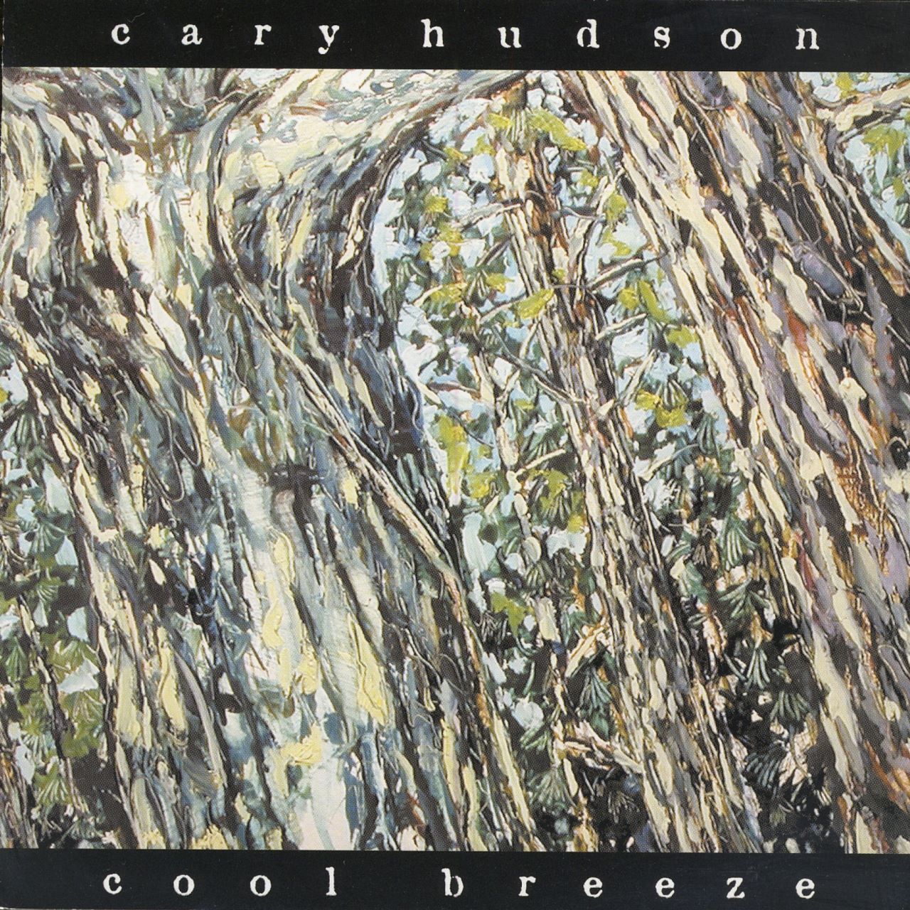 Cary Hudson - Cool Breeze cover album