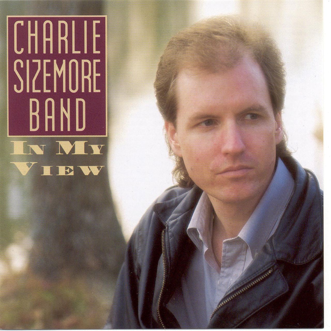 Charlie Sizemore Band - In My View cover album