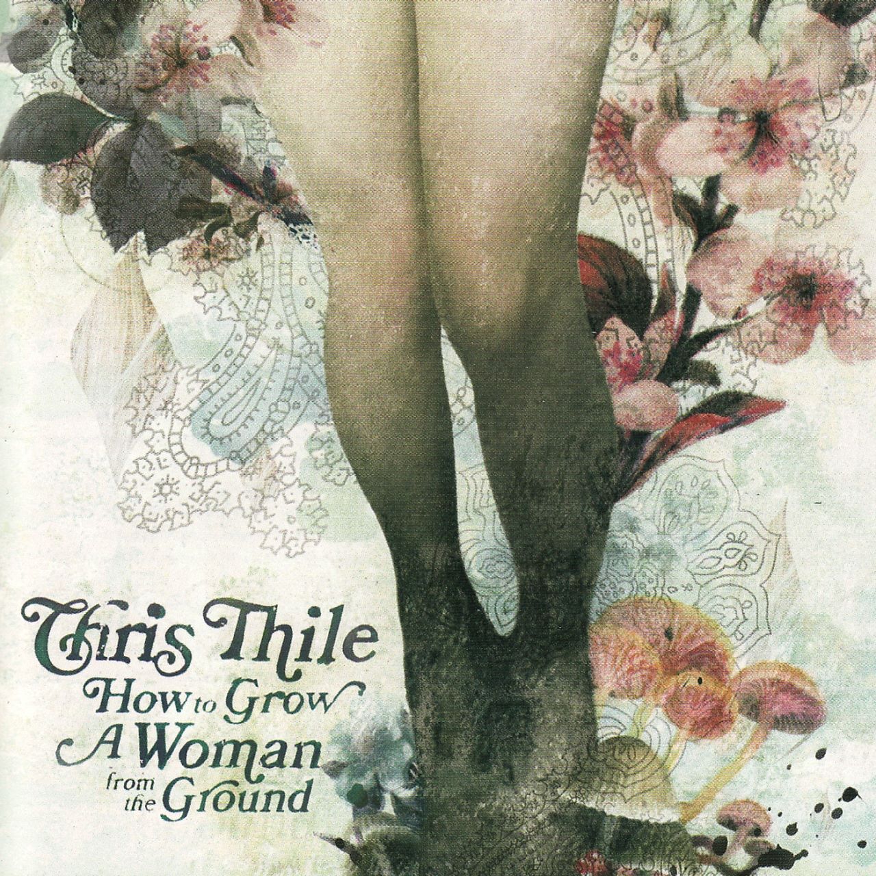 Chris Thile - How To Grow A Woman From The Ground cover album