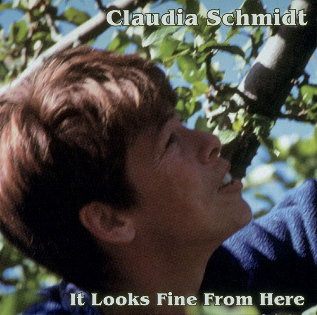 Claudia Schmidt - It Looks Fine From Here cover album