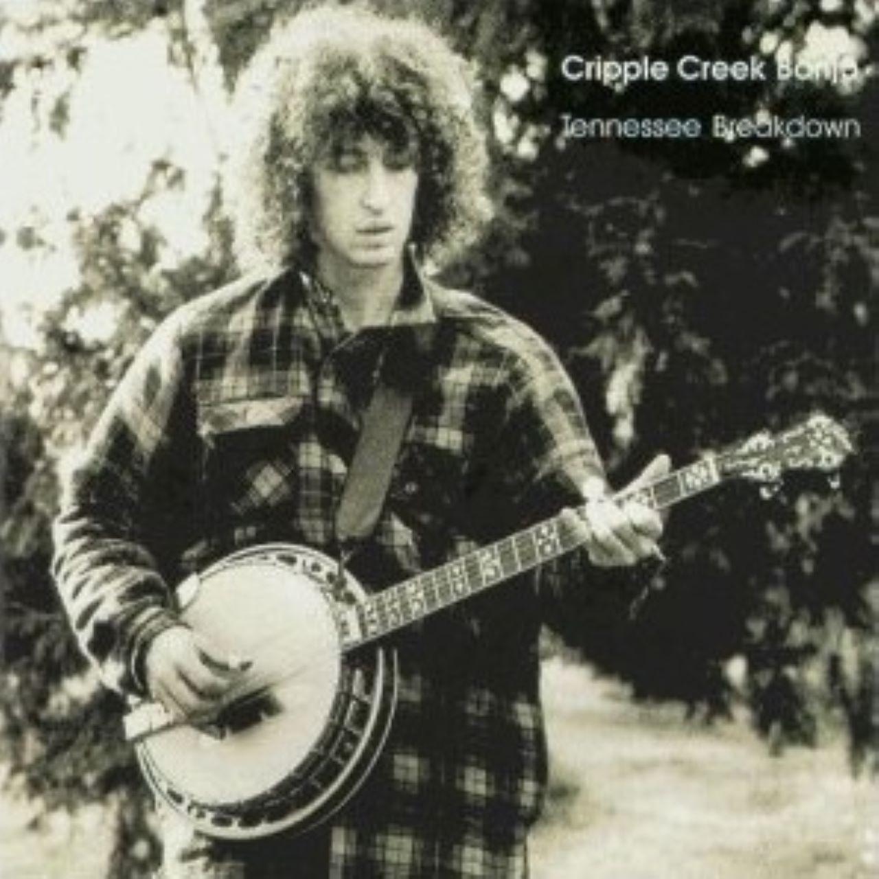 Cripple Creek Banjo - Tennessee Breakdown cover album