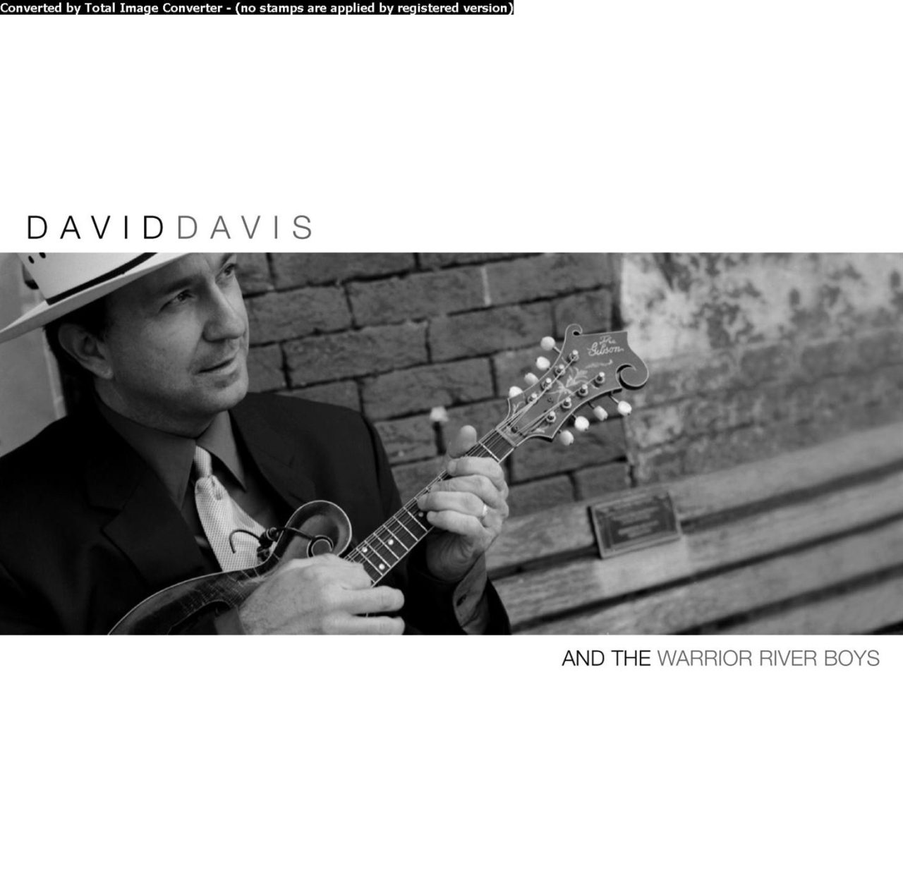 David Davis And The Warrior River Boys - David Davis And The Warrior River Boys cover album