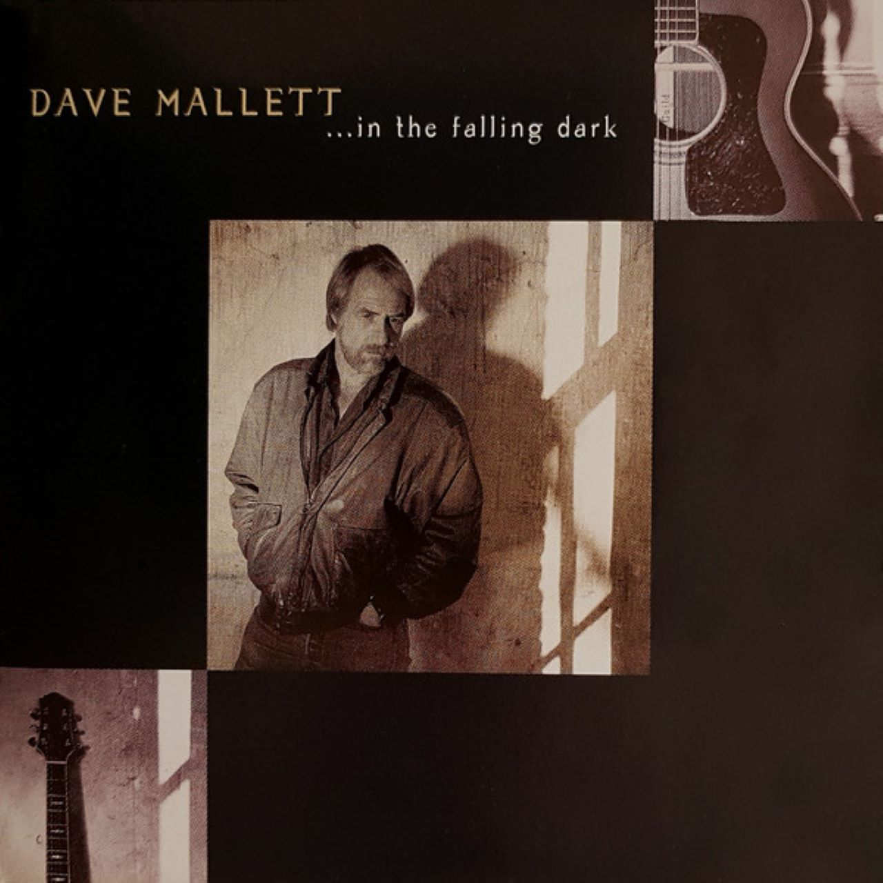 David Mallett - ...In The Falling Dark cover album