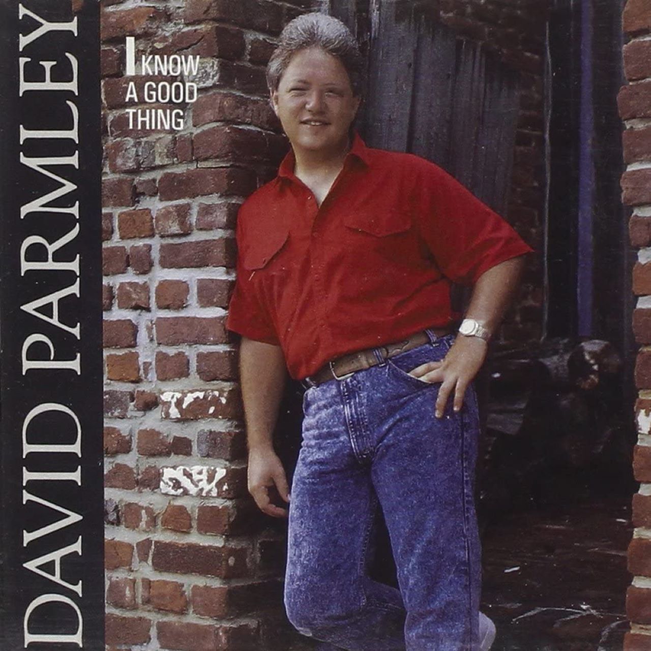 David Parmley - I Know A Good Thing cover album
