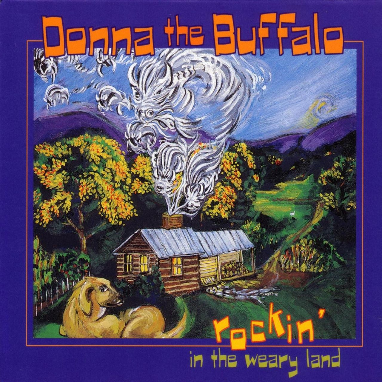 Donna The Buffalo - Rockin' In The Weary Land cover album
