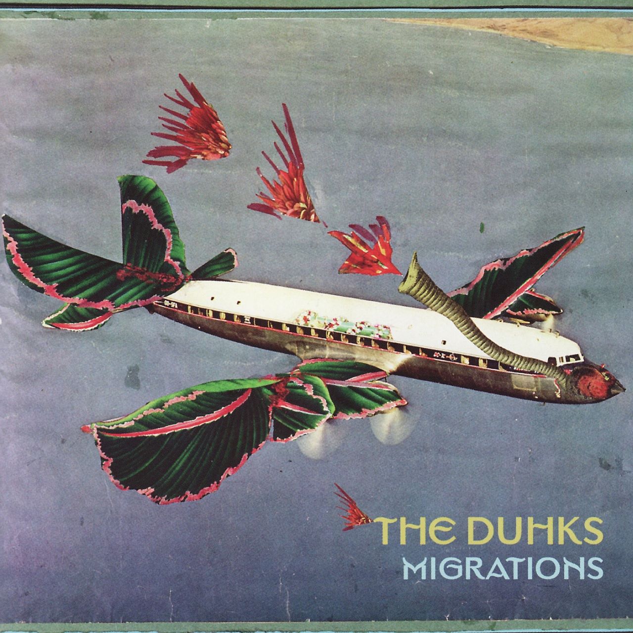 Duhks - Migrations cover album