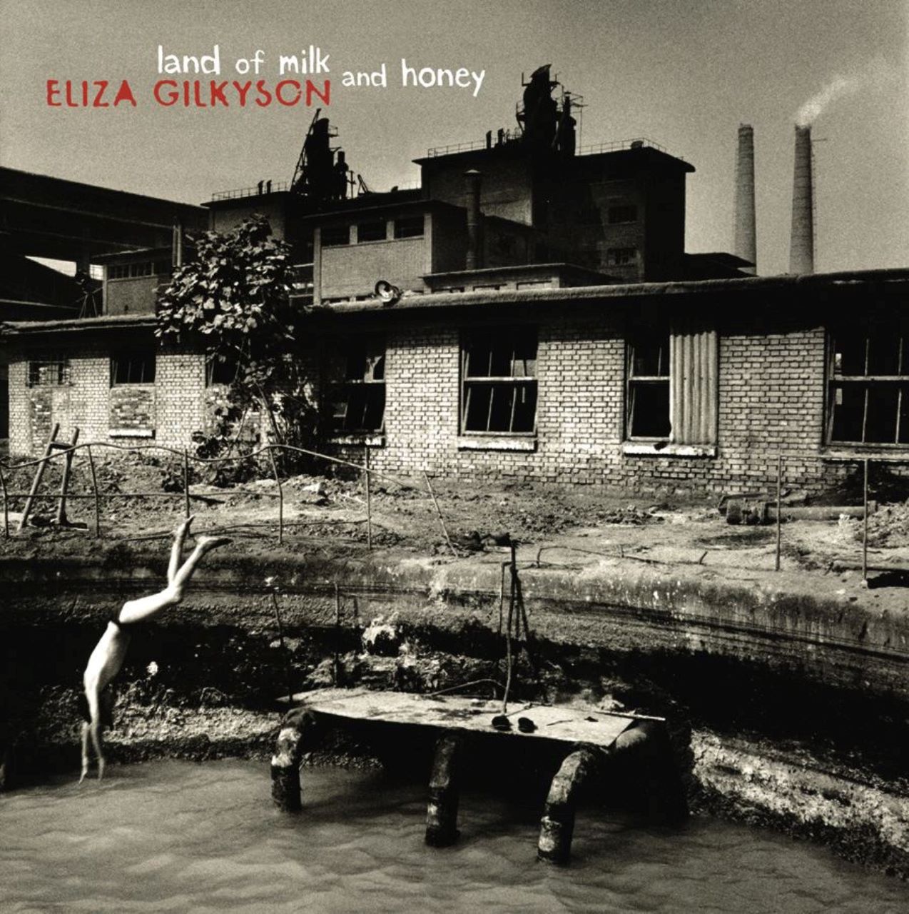 Eliza Gilkyson - Land Of Milk And Honey cover album