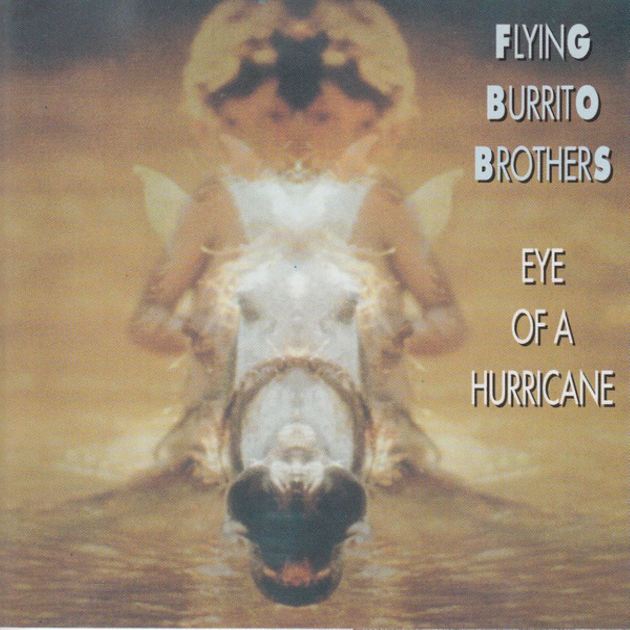 Flying Burrito Brothers - Eye Of A Hurricane cover album
