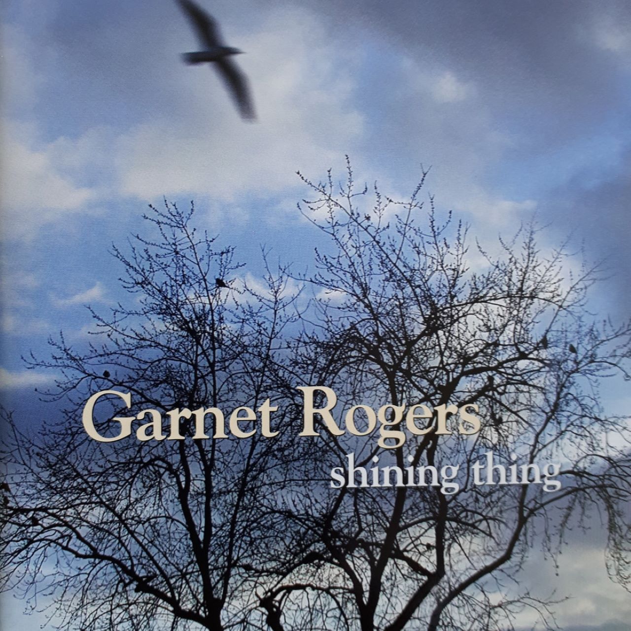 Garnet Rogers - Shining Thing cover album