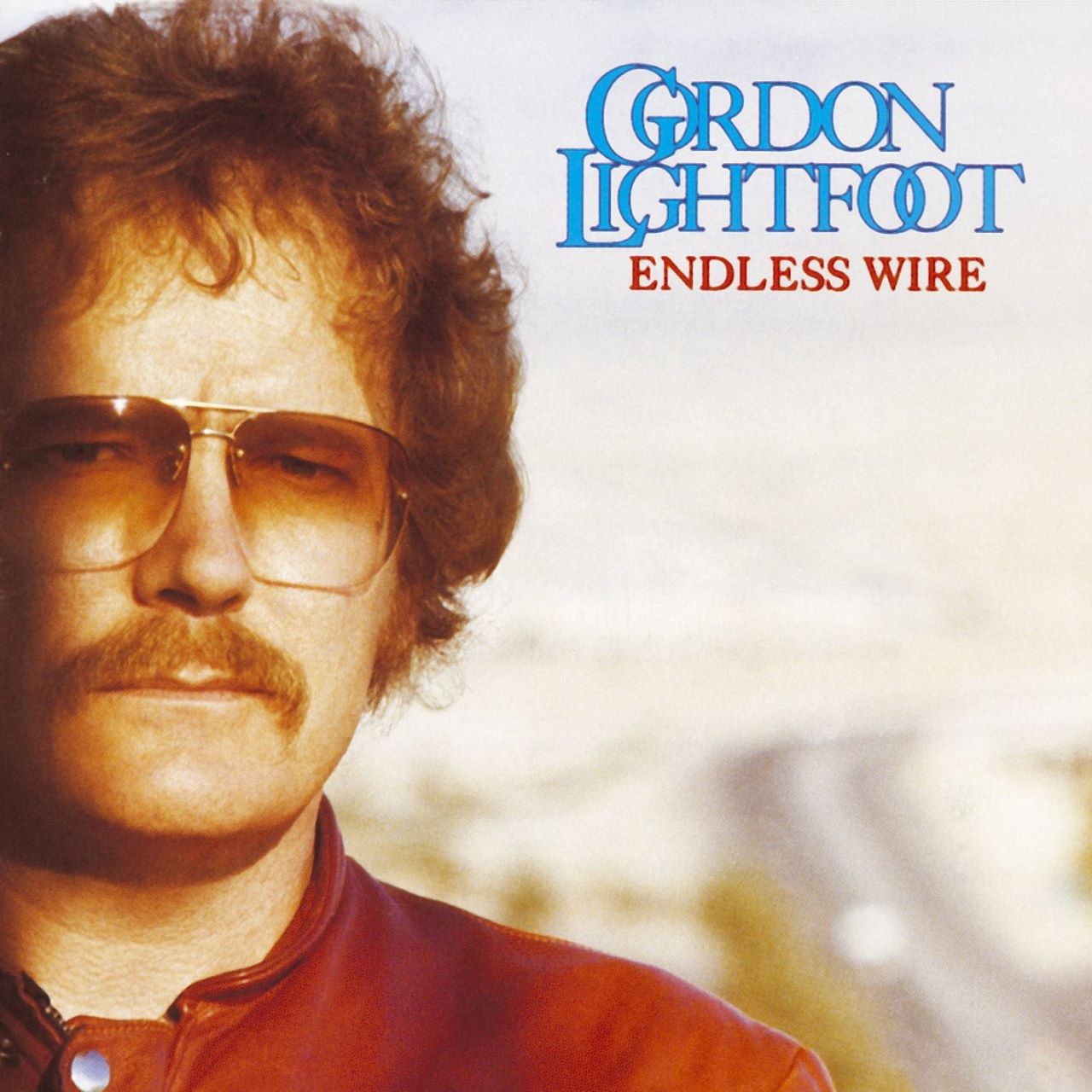 Gordon Lightfoot - Endless Wire cover album