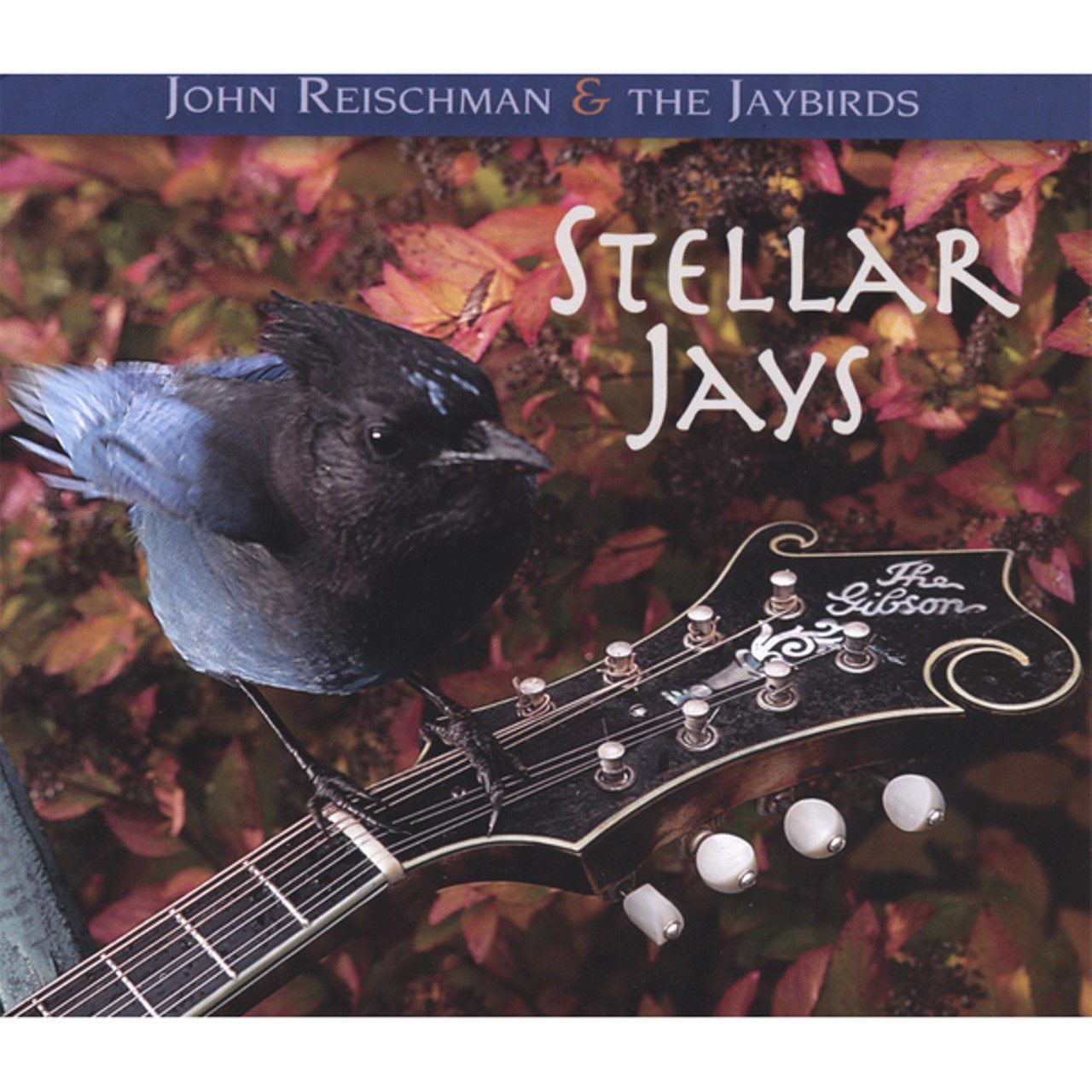 John Reischman & The Jaybirds - Stellar Jays cover album