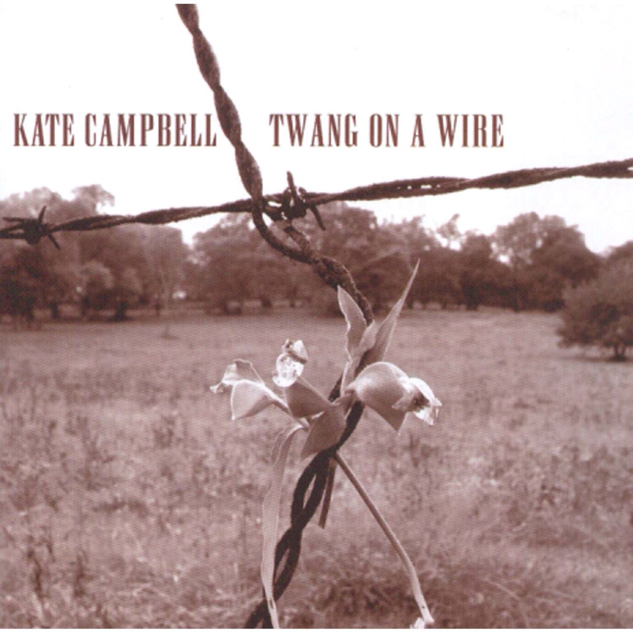 Kate Campbell - Twang On A Wire cover album