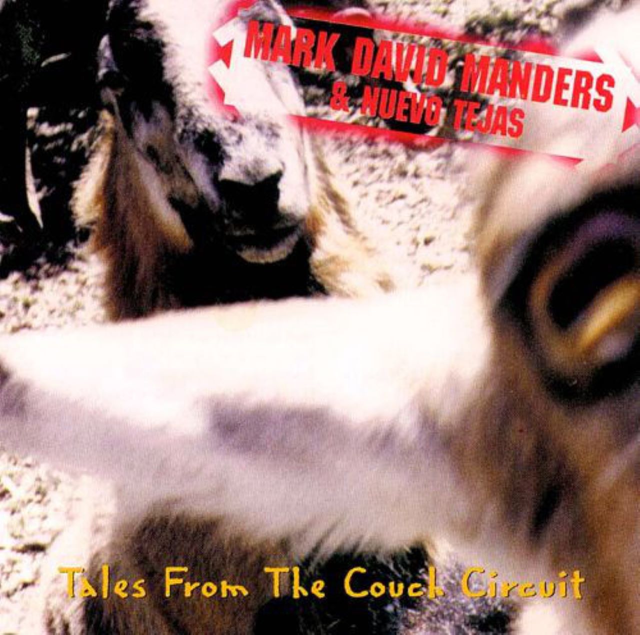 Mark David Manders & Nuevo Tejas - Tales From The Couch Circuit cover album