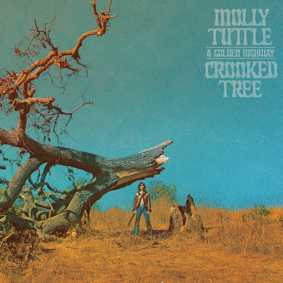 Molly Tuttle CROOKED TREE, cover album