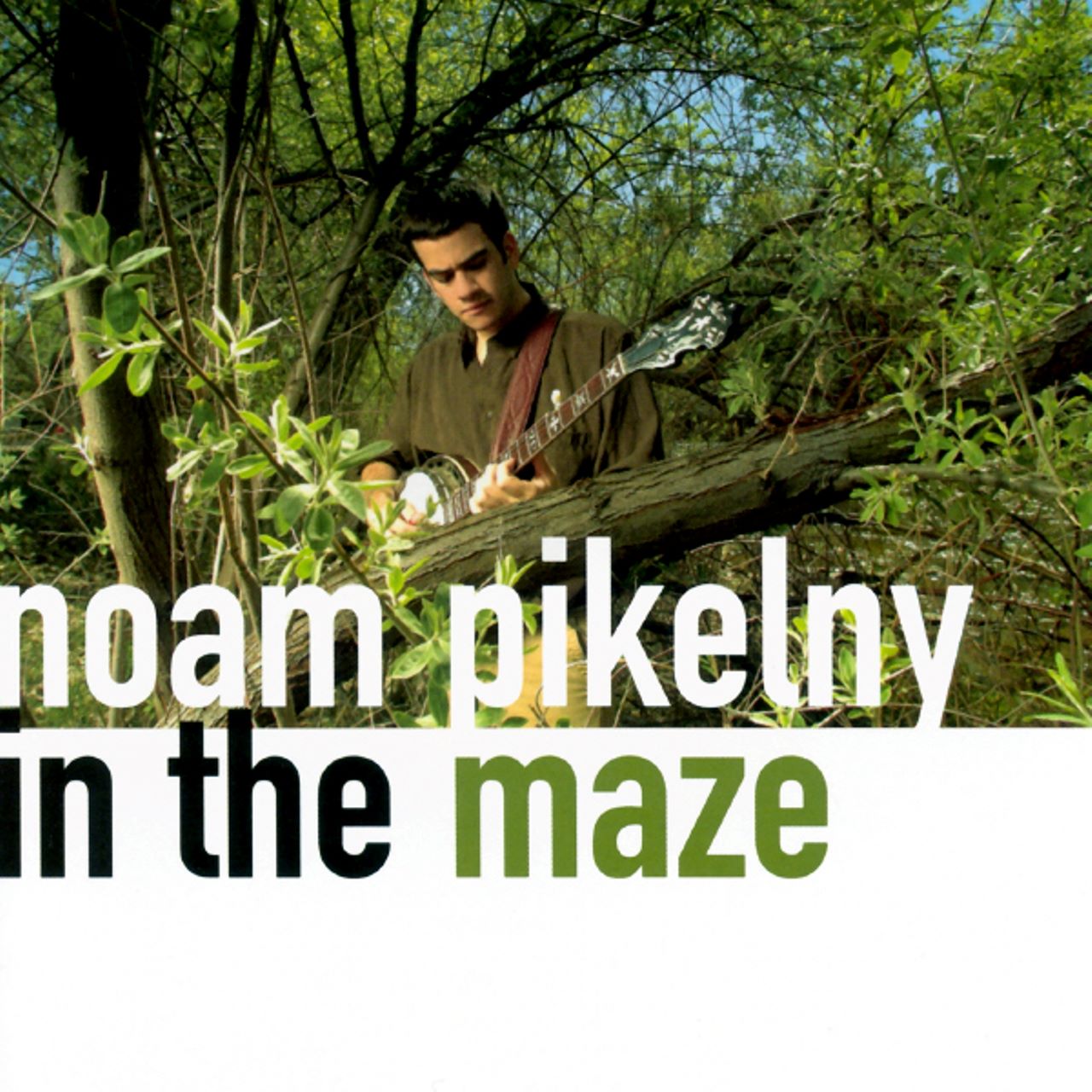 Noam Pikelny - In The Maze cover slbum