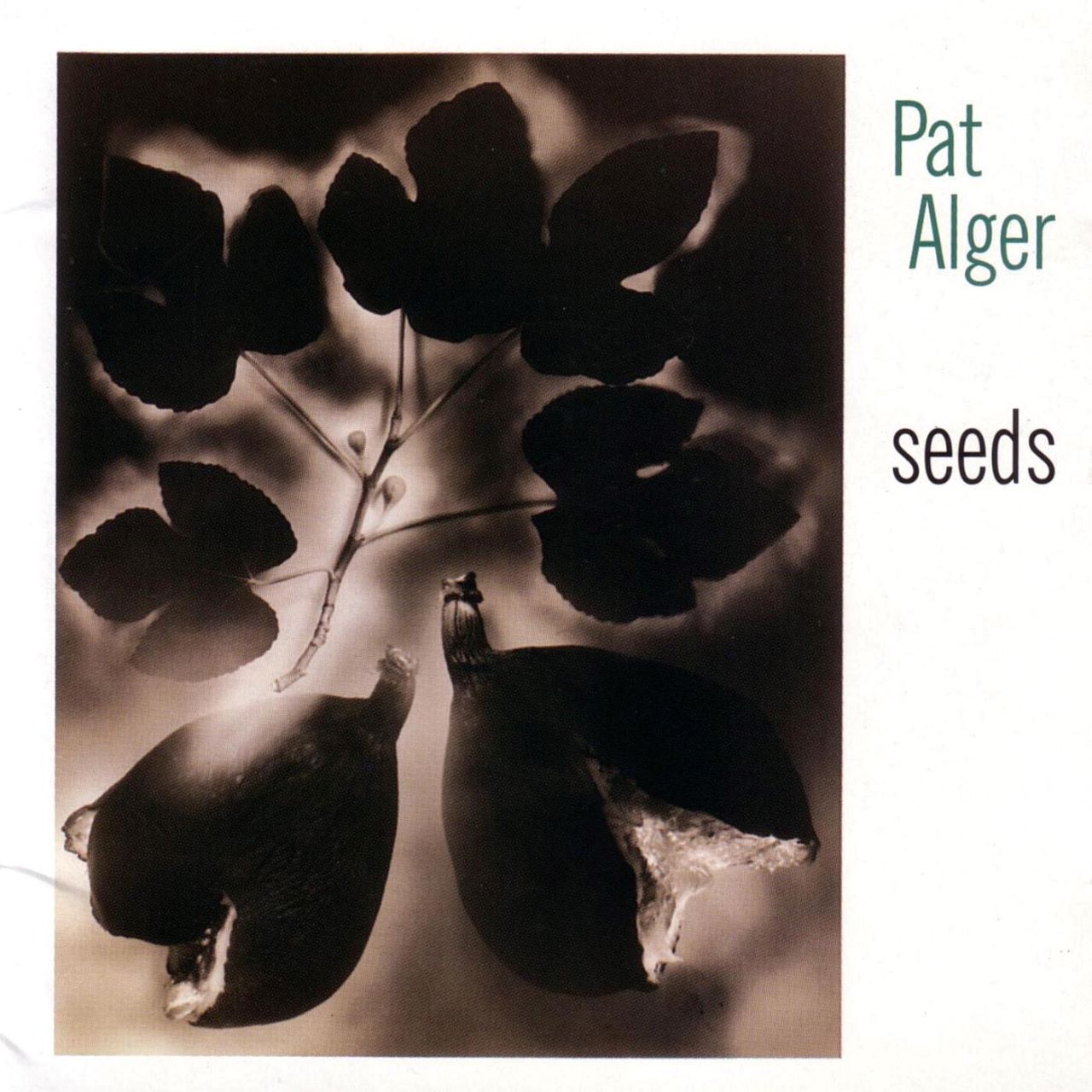 Pat Alger - Seeds cover album