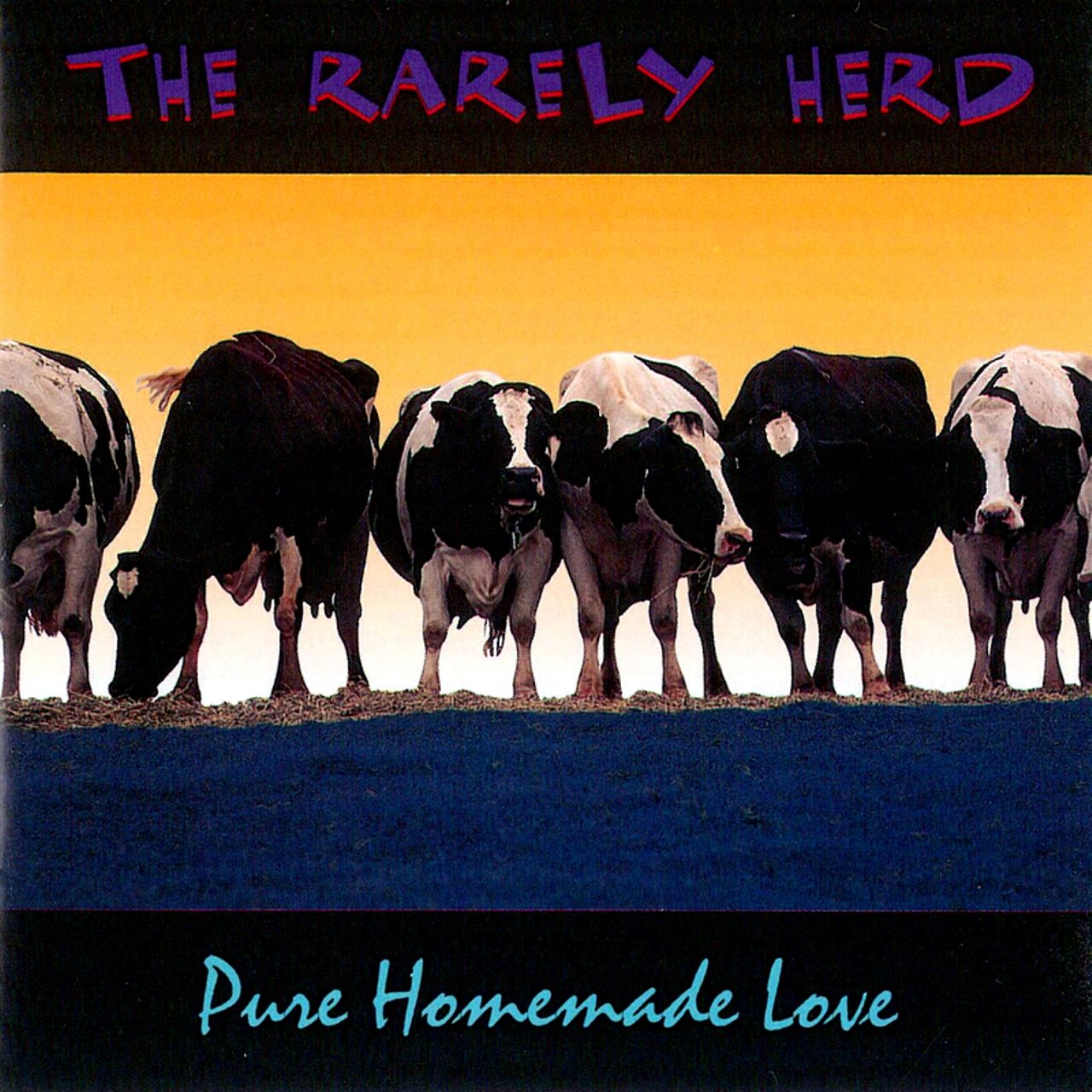 Rarely Herd - Pure Homemade Love cover album