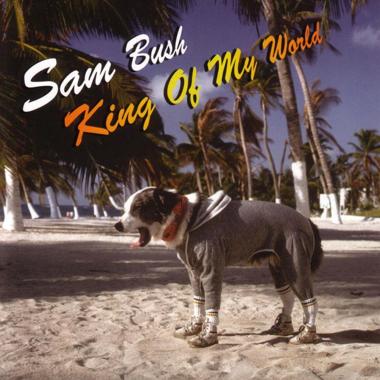 Sam Bush - King Of My World cover album