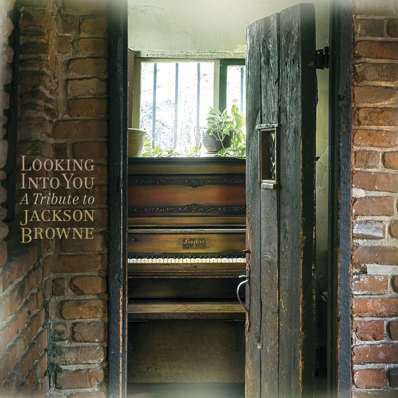 A.A.V.V. - Looking Into You - A Tribute To Jackson Browne cover album