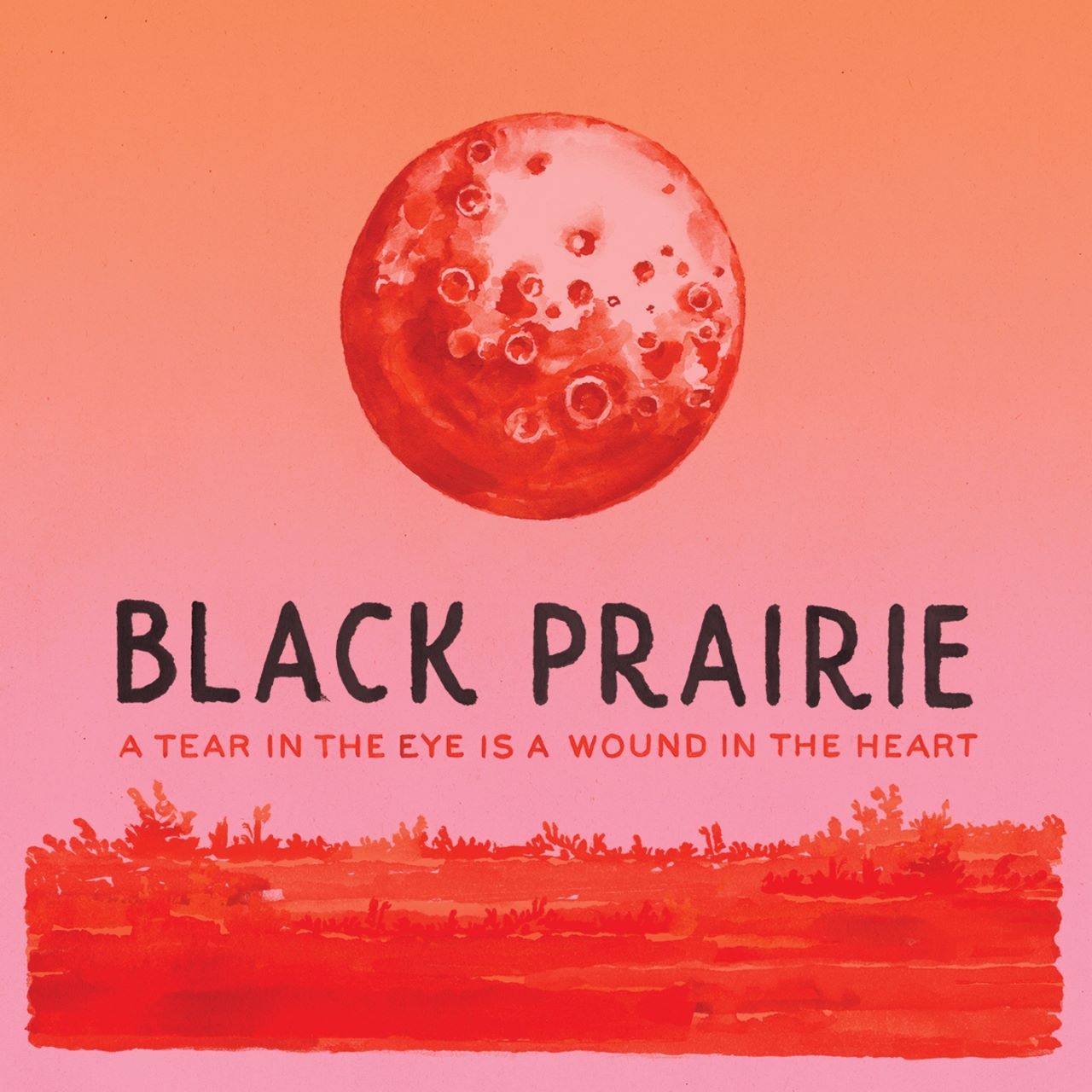 Black Prairie - A Tear In The Eye Is A Wound In The Heart cover album