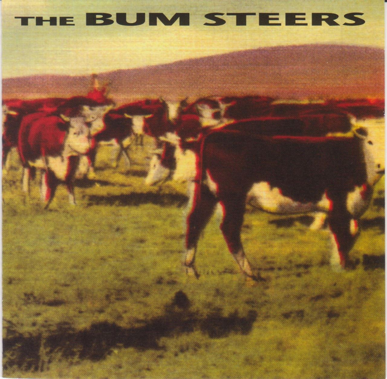 Bum Steers – The Bum Steers cover album