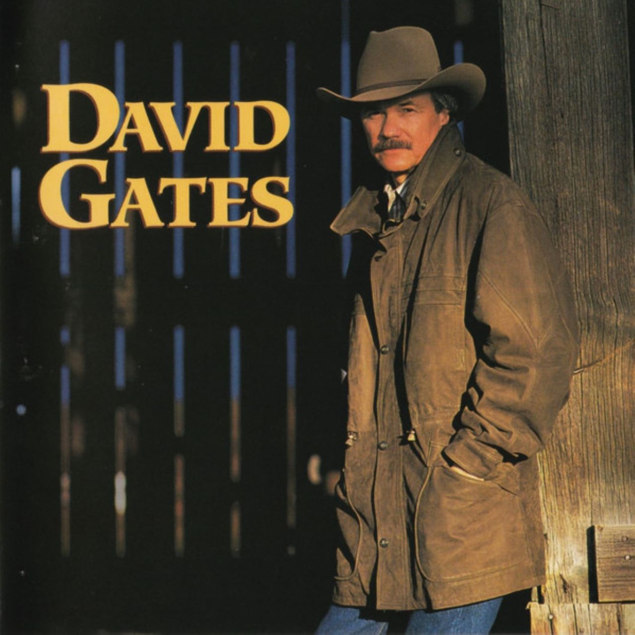 David Gates - Love Is Always Seventeen cover album