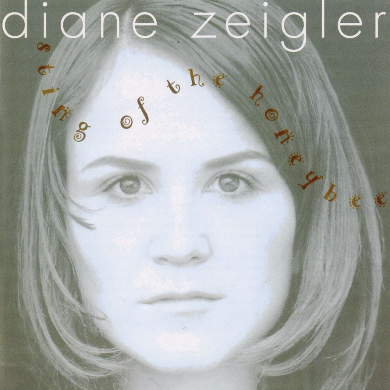 Diane Zeigler - Sting Of The Honeybee cover album