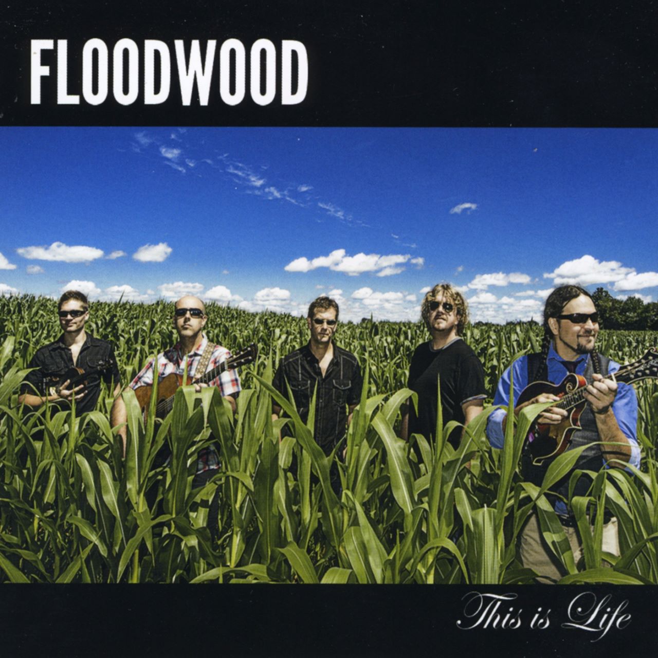 Floodwood - This Is Life cover album