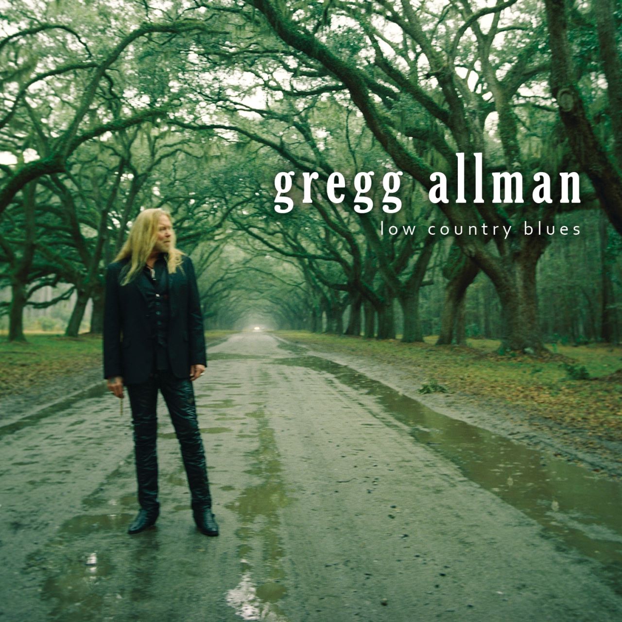 Gregg Allman - Low Country Blues cover album