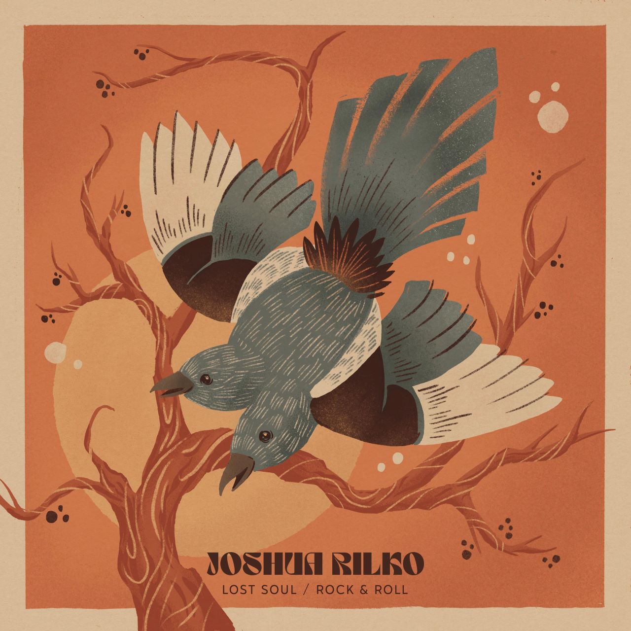 Joshua Rilko - Lost Soul Rock & Roll cover album