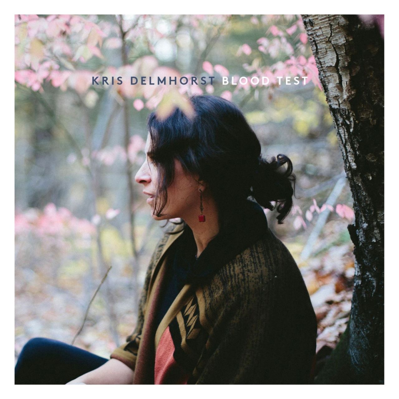 Kris Delmhorst - Blood Test cover album